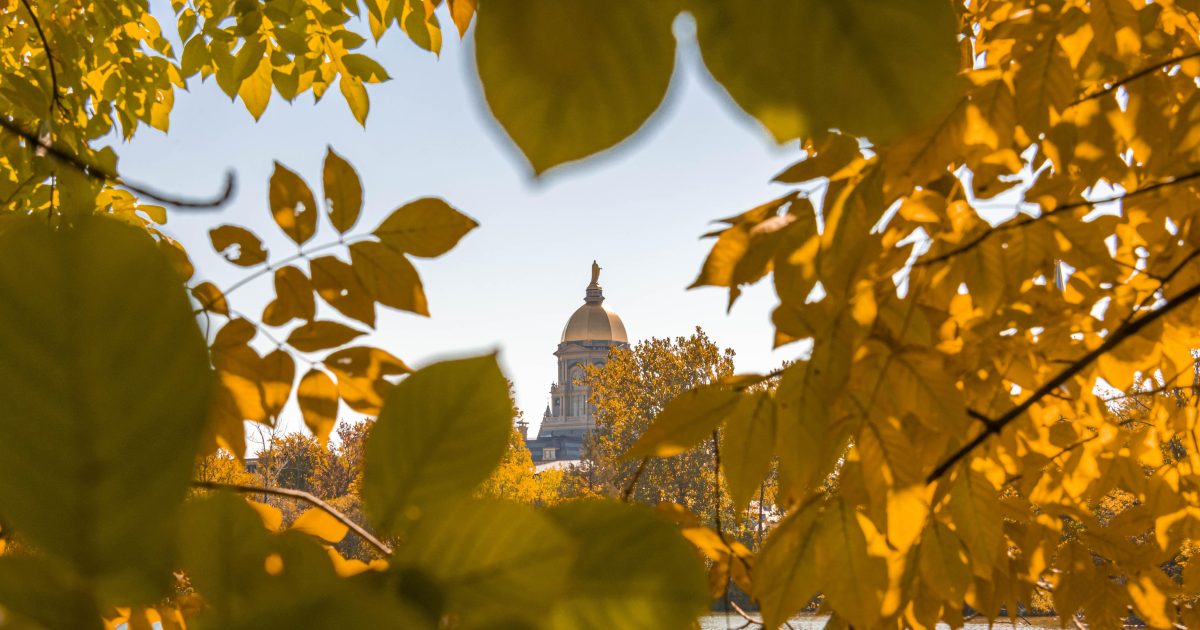 South Bend In The Fall | Football, Markets & Colors