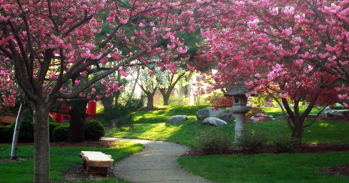 Experience Spring in South Bend | Outdoor Fun & Dining