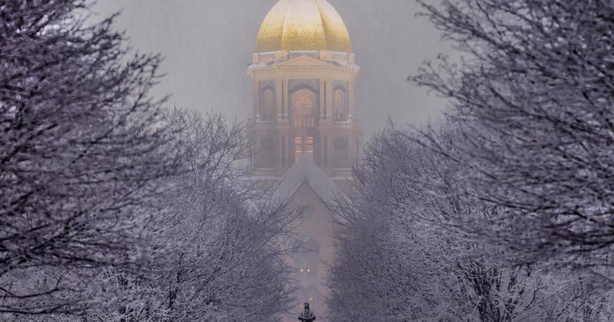 Winter in The Bend | Ice Skating, Notre Dame, Museums, Dining