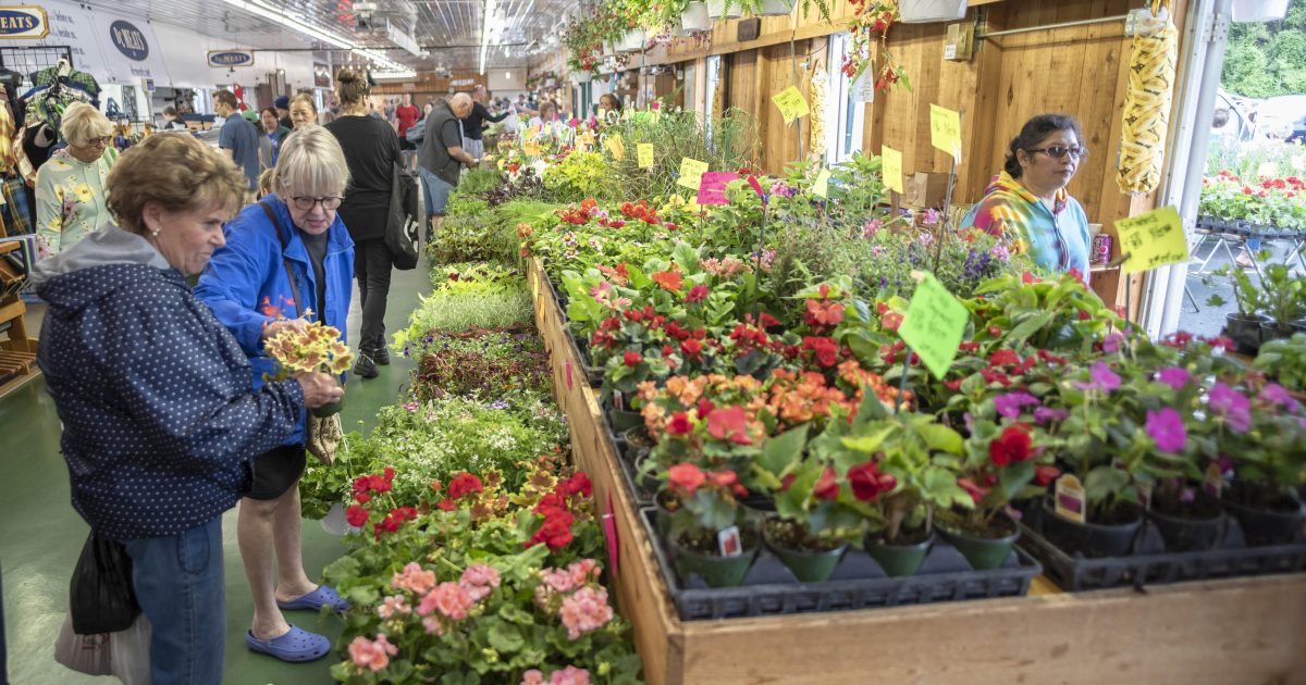 Spring Getaway in South Bend | Things to Do & Places to Stay