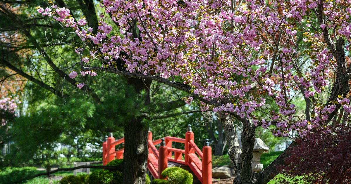 Shiojiri Niwa Garden | Visit South Bend Mishawaka