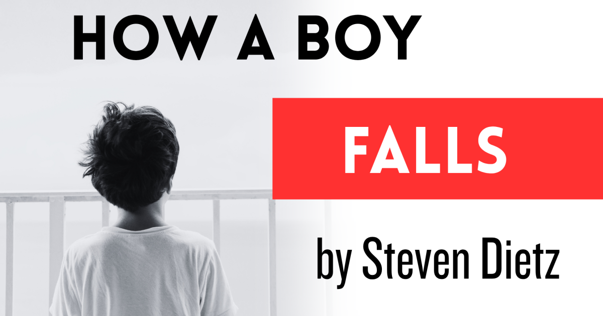 How a Boy Falls by Steven Dietz