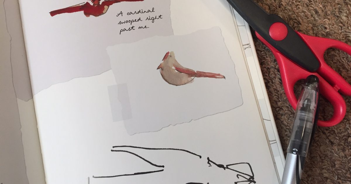 Nature Journaling Club